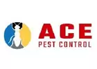 Get Professional Moth Control Services In Brisbane