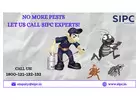 Best Pest Control Services in Bangalore