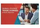 Types of Business License in Dubai