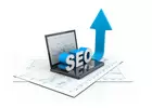 SEO Services in Mississauga