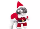 Make Christmas great again with this Christmas Santa Pet Costume