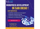 Best Wordpress Development Company San Diego | Bitcot 