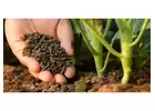 Revitalise Your Soil with Expert Soil Advisor in Melbourne