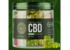Green Leafz CBD Gummies Canada - Reviews