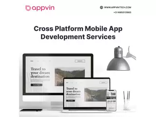 Expert Cross platform mobile application development services by AppVin