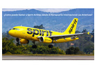 ¿Como puedo llamar a Spirit Airlines desde el Aeropuerto Internacional Las Americas?