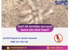 Termite Treatment Bangalore