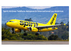 ¿Como puedo llamar a Spirit Airlines desde el Aeropuerto Internacional La Aurora?