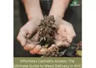 Effortless Cannabis Access: The Ultimate Guide to Weed Delivery in NYC