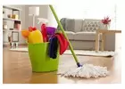 Best House Cleaning Services in Little Turtle