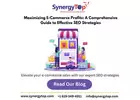 SEO Strategy for Ecommerce Websites -SynergyTop