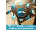 7 Effective Strategies for Digital Marketing Services in Bhopal
