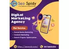 Seospidy: The Premier Choice for Social Media Promotion in Noida