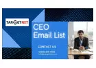 Updated CEO Email List in USA-UK
