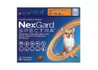 Nexgard for Dogs | SingaporePetCare 