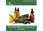 5 Reasons Why Weed Delivery is the Future in Brooklyn