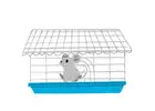 Rat Cage Calculator: Finding the Right Cage Size for Your Pet Rats