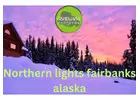 Chase the Aurora: Northern Lights Fairbanks Alaska Tours with Gondwana Ecotours
