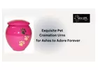 Exquisite Pet Cremation Urns for Ashes to Adore Forever