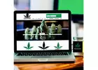 Start Your Own Virtual Dispensary - 100% Legal!! 