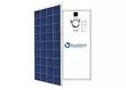 Bluebird 165 Watt Polycrystalline Solar Panel