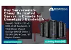 Buy Serverwala’s Cheap Dedicated Server in Canada for Unmetered Bandwidth
