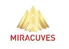 Miracuves Solutions: Leading the Way in Innovative IT Services