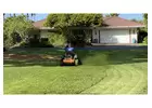 What Are the Best Practices for Sustainable Lawn Care in Hawaii?