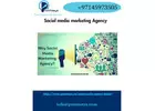 Maximizing Reach: Prontosys IT Services Social Media Marketing Agency
