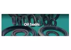 The Unsung Heroes of Machines: A Deep Dive into Oil Seals