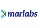Digital Transformation Conculting & IT Services Company | Marlabs 