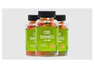 What is Makers CBD Gummies?