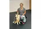 Top Dog Obedience Specialist in Mitchell