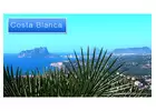 Where Do Expats Buy Homes On The Costa Blanca?