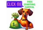 Insured Capital & Daily Compounding: Retire Safe & Secure with $100!