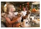 Best Pet Friendly Cafe in Katong