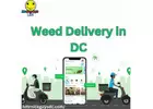 Weed Delivery Services In Washington,