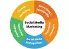 Social Media Marketing Agency in Noida | Madzenia