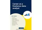 career as a freelance data analyst