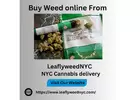 Exploring the Buzz: NYC Cannabis Delivery Services
