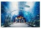 Best Dubai Aquarium Offers - CTC Tourism