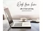 Work from home earning Daily Pay