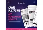 cross platform application development company