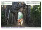 Ranthambore Safari Booking Online