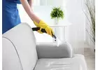 Best Service for Upholstery Cleaning in Highbridge