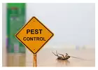 Residential Pest Control Services | Pest Control Newcastle