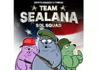 Sealana meme coin has raised more than 100K USD in just one day