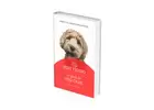 A Guide to Dog Care Digital